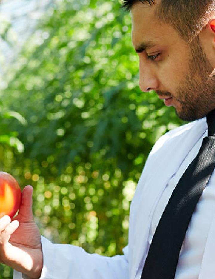 A scientist reviews the growth of a tomato in a hothouse